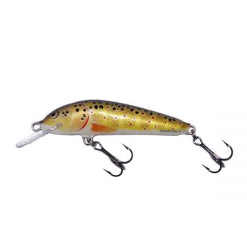 Vobler Salmo Minnow M7F T plutitor 7 cm/6 gr