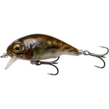 Vobler Savage Gear 3D Goby Crank SR, Goby, 4cm, 3g