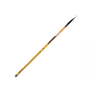 Varga Telescopica Carbon 6m/25gr LineaEffe