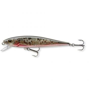 Vobler Minnow N35 Dying Roach 8,5cm / 7g Team Cormoran Vobler Minnow N35 Dying Roach 8,5cm / 7g Team Cormoran