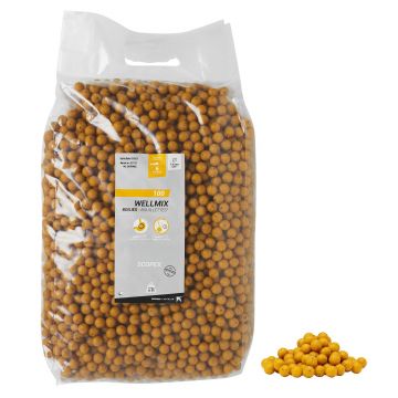 Boilies Pescuit la Crap Wellmix 14mm Scopex 10kg