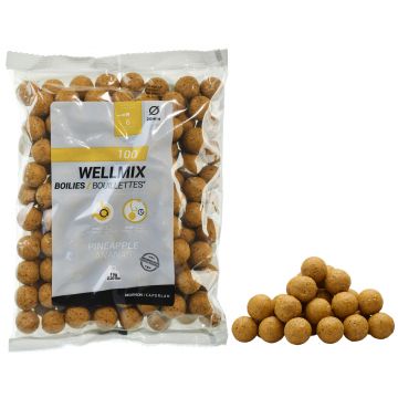 Boilies Pescuit la Crap Wellmix 20 mm 1kg Ananas