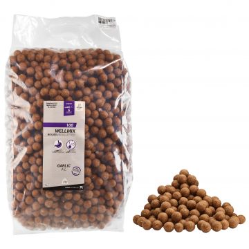 Boilies Pescuit la Crap Wellmix 20mm 10kg Usturoi