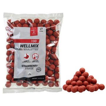 Boilies Pescuit la Crap Wellmix 20mm 1kg Căpșuni