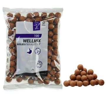 Boilies Pescuit la Crap Wellmix 20mm 1kg Usturoi