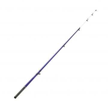 Vârf de schimb undiță surfcasting SYMBIOS 500 4.20 m