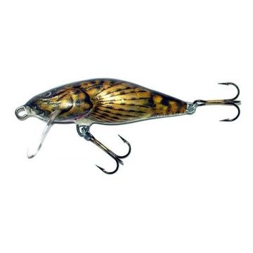 Vobler Salmo Bullhead BD6F, culoare BD, 6cm, 6g