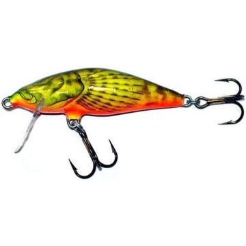 Vobler Salmo Bullhead BD6F, culoare HBD, 6cm, 6g