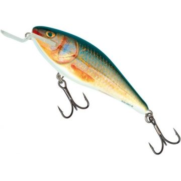 Vobler Salmo Executor Shallow Runner EX5SR, culoare RR, 5cm, 5g
