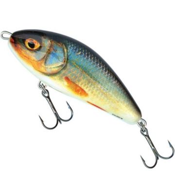 Vobler Salmo Fatso Sinking F10S, culoare RR, 10cm, 52g