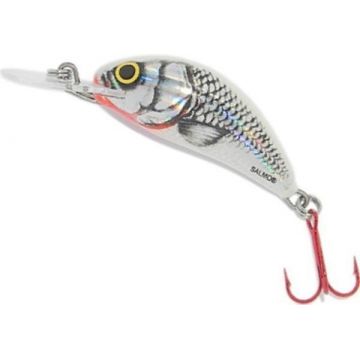 Vobler Salmo Hornet Floating H3F, culoare SWS, 3.5cm, 2.2g