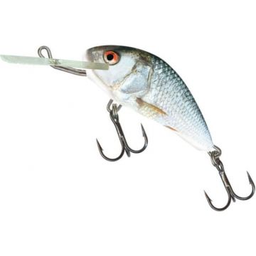 Vobler Salmo Hornet Floating H5F, culoare RD, 5cm, 7g
