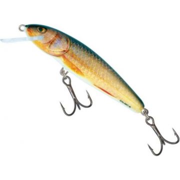 Vobler Salmo Minnow Floating M5F, culoare RR, 5cm, 3g