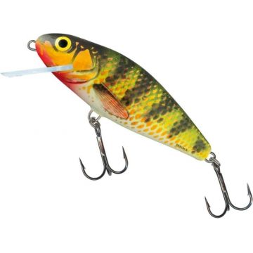 Vobler Salmo Perch Floating PH8F, culoare HP, 8cm, 12g