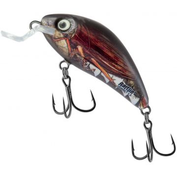 Vobler Salmo Rattlin Hornet, culoare RLC, 3.5cm, 3.1g