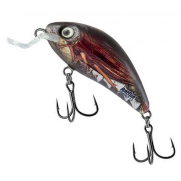 Vobler Salmo Rattlin Hornet H3.5, culoare HRD, 3.5cm, 3.1g