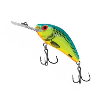 Vobler Salmo Rattlin Hornet H5.5, culoare CB, 5.5cm, 10g