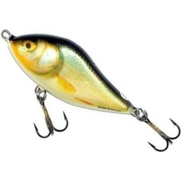 Vobler Salmo Slider Sinking SD7S, culoare RR, 7cm, 21g