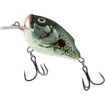 Vobler Salmo Squarebill, culoare HGY, 5cm, 14g
