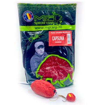 Pasta Solubila MG Carp Birdfood, 1kg (Aroma: Usturoi)