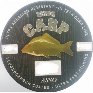 Fir Asso Ultra Carp 0.20mm 6.50kg 1000m Brown