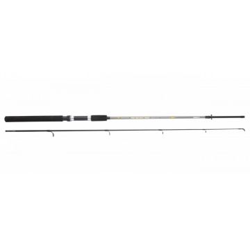 Lanseta Sert Fish Instinct FW20 2.10m 10-30gr Spincast