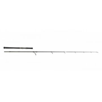 Lanseta Zeck Evo Cat Spin 2.40m 100gr Lanseta Zeck Evo Cat Spin 2.40m 100gr