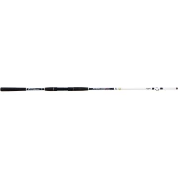 Lanseta Boat Master Extreme Deep 2.50M 80-200G