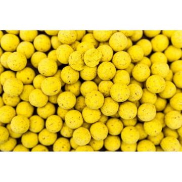 Boilies Pro Line Scopex N'Butyric, 5kg (Marime: 20 mm)
