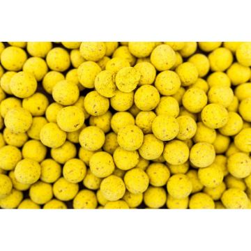 Boilies Pro Line Scopex N'Butyric, 5kg (Marime: 25mm)
