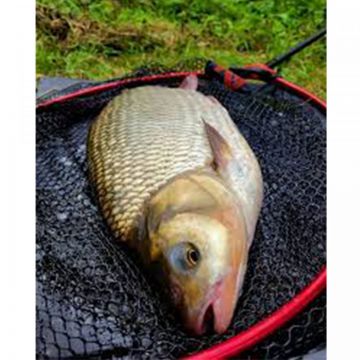 Cap Minciog Nytro Latex Big Fish 40cm 8.5mm
