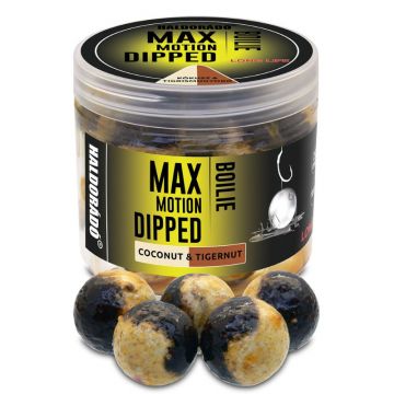 Boilies Haldorado Max Motion Boilie Dipped, 20mm, 100g (Aroma: Cocos & Alune Tigrate)