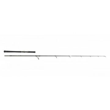 Lanseta Zeck Evo Cat Spin 2.43m 120gr