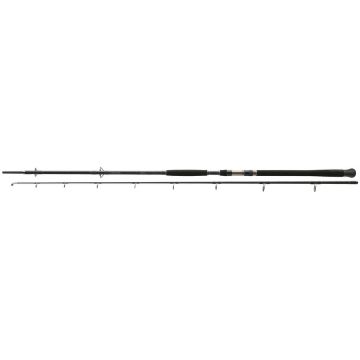 Lanseta Exceler Catfish Spin 2.40M