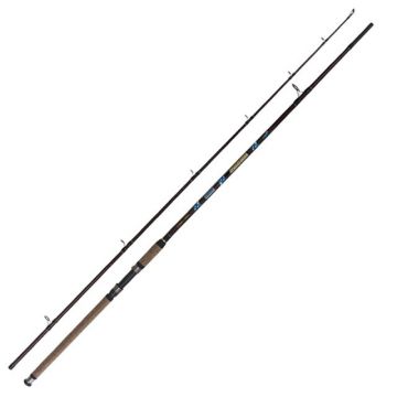 Lanseta Wizard Catfish Horizont 3.3m,1000-1300gr, 2 tronsoane