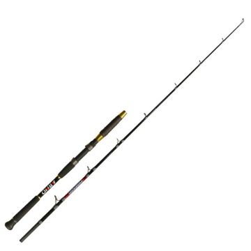 Lanseta EnergoTeam Arno Poseidon Catfish, 1.65m, 2 tronsoane