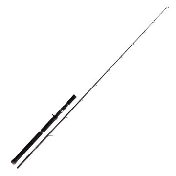 Lanseta Zenaq Plaisir Answer PA-B67 Sopmod EBR Bait Cast, 2.04m, 40-300g, 2 tronsoane Lanseta Zenaq Plaisir Answer PA-B67 Sopmod EBR Bait Cast, 2.04m, 40-300g, 2 tronsoane