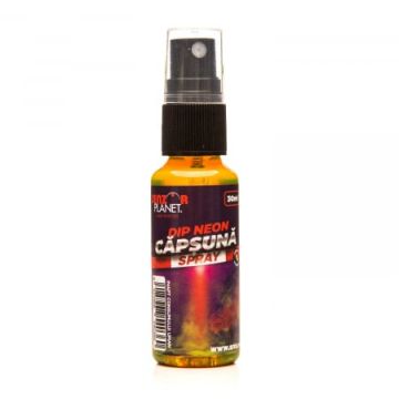 DIP NEON SPRAY 30ML
