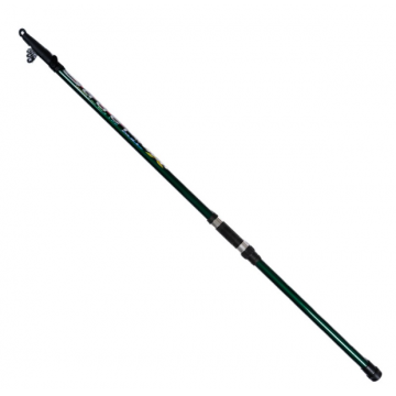 Lanseta Bologneza