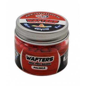 Wafters Mini Pro Banda 5mm 20gr. Wafters Mini Pro Banda 5mm 20gr.