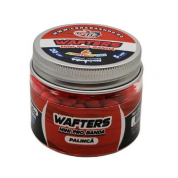 Wafters Mini Pro Banda Palinca 5mm 20gr.
