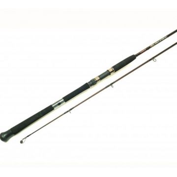 lanseta somn HAKUYO WELS AKTION putere 100/300g  -2.10m