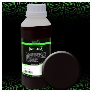 Melasa