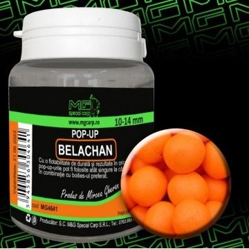 Pop-Up Belachan 10-14mm