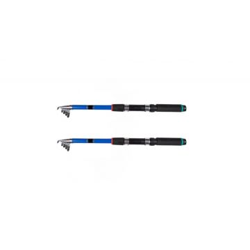 Set 2 lansete telescopice  putere aruncare 80/120g
