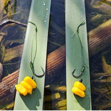 FeederX - Carlige legate FeederX Wild Carp Strong Hook