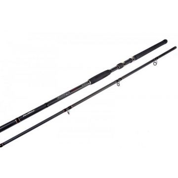 Lanseta Formax Vantage Catfish 3.20m, 100-300g, 2 tronsoane