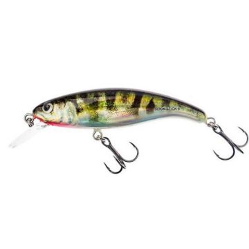 Vobler Salmo Slick Stick, HSK, 6cm, 3g